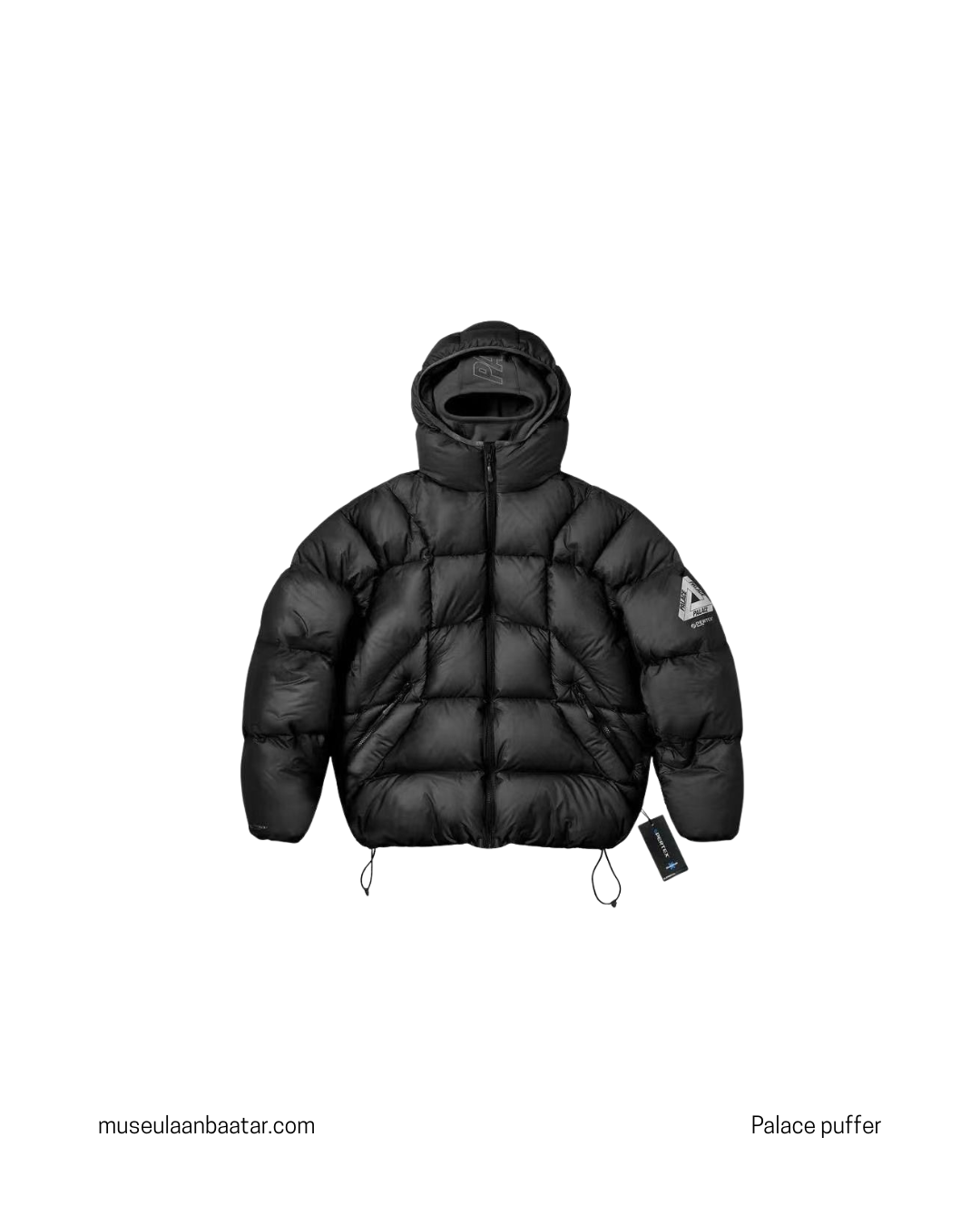 Palace puffer