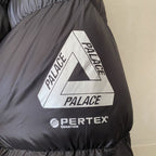 Palace puffer