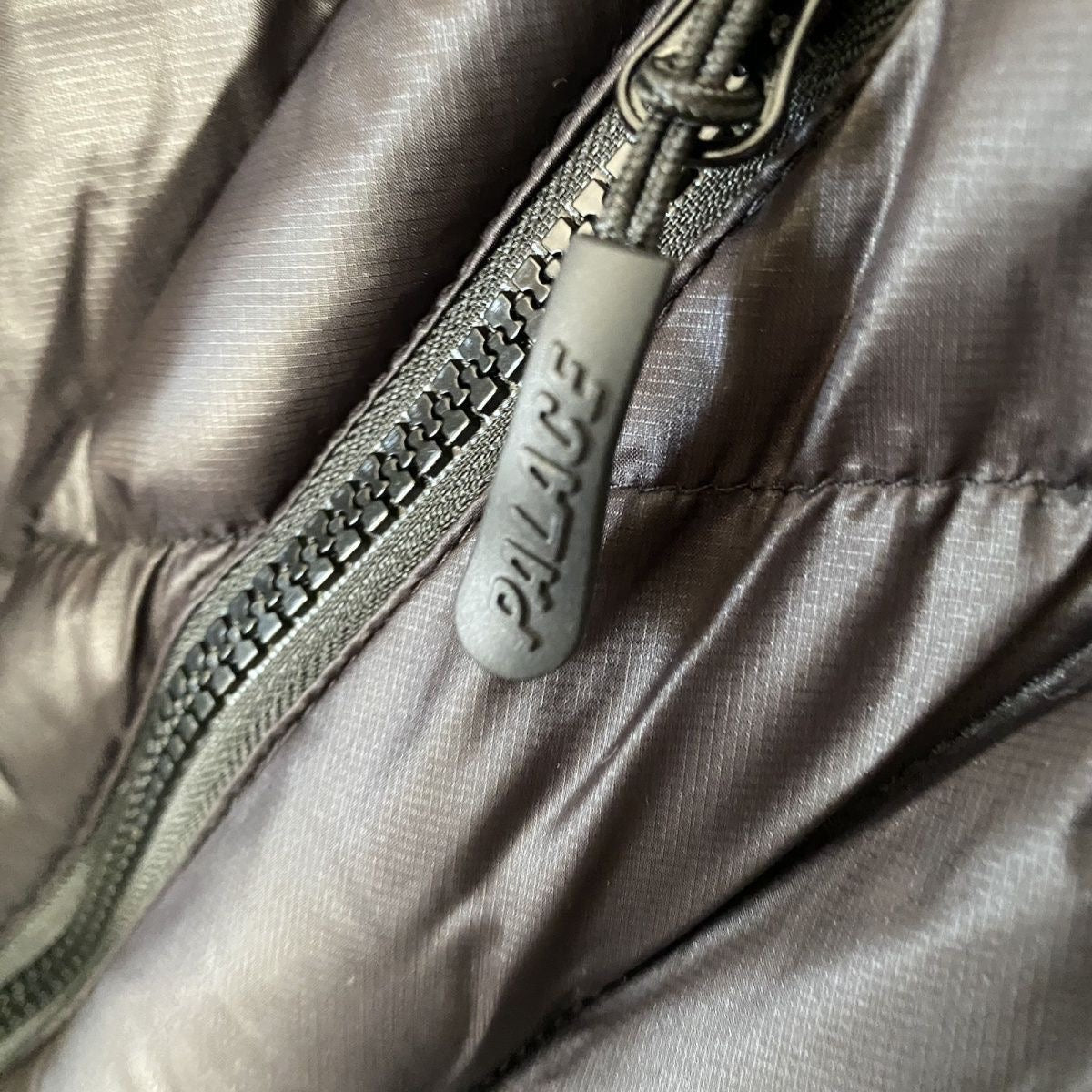 Palace puffer